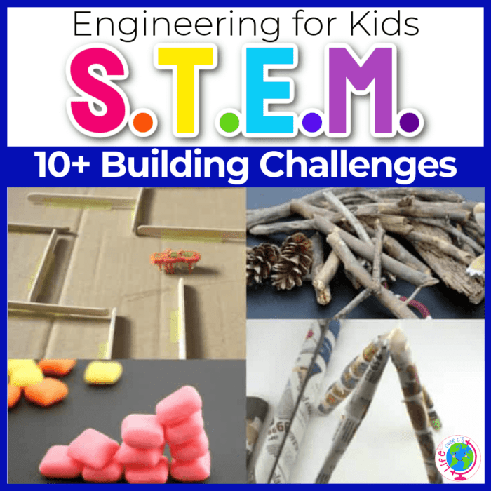 Free STEM & Nature Printables | Incredible Kids Network
